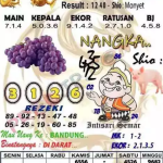 Syair SGP Hari Ini Kamis 08-08-2024